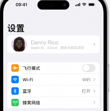 平顺appleID维修服务iPhone设置中Apple ID显示为灰色无法使用 