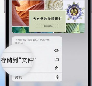 平顺apple维修中心分享iPhone文件应用中存储和找到下载文件