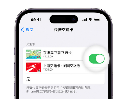 平顺apple维修点分享iPhone上更换Apple Pay快捷交通卡手绘卡面 