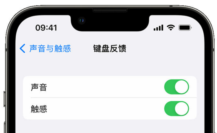 平顺苹果手机维修分享iPhone 14触感键盘使用方法 