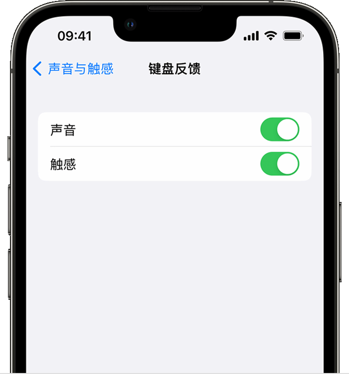 平顺苹果14维修店分享如何在 iPhone 14 机型中使用触感键盘 