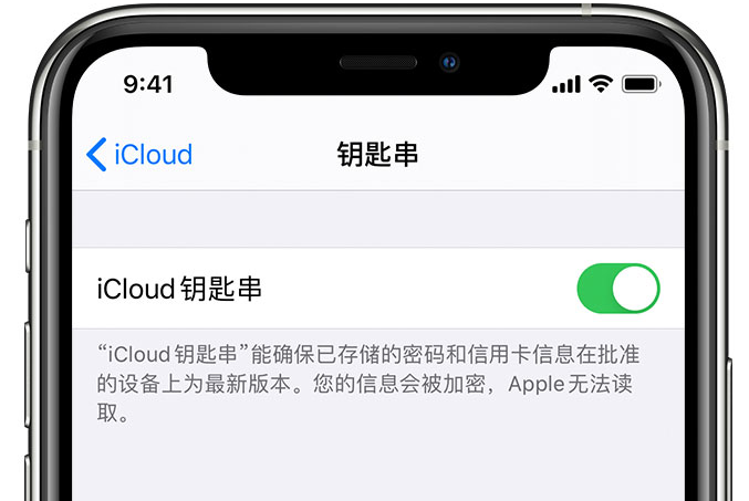 平顺苹果手机维修分享在 iPhone 上开启 iCloud 钥匙串之后会储存哪些信息 