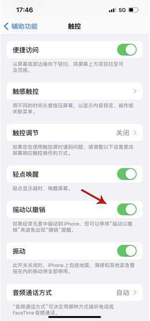 平顺苹果手机维修分享iPhone手机如何设置摇一摇删除文字 