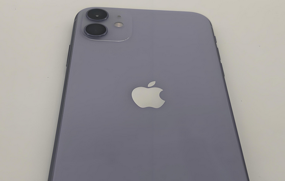 平顺苹果11系统维修分享iPhone11手机系统崩溃无法开机如何解决